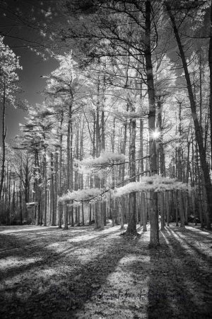 Until the Last Moment