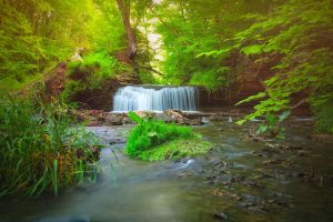Beaver County Fine Art Photography Print: Gypsy Glen Rd Falls
