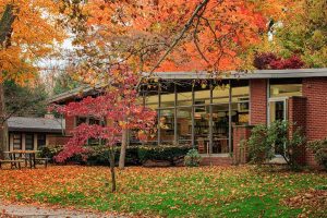Beaver Library on River Road Fine Art Photography Print