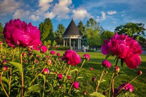 Beaver County's Belvedere Tower - Fine Art Photography Print