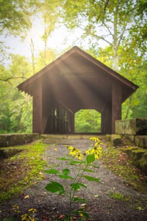 Beaver County's Historic Brush Creek Covered Bridge Print