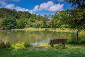 Explore Nature in Beaver County with Fine Art Photography