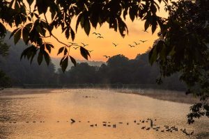 Beaver County Fine Art Photography Print: Brady's Run