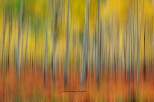 Tranquil Echoes | Abstract Fine Art Photography Print