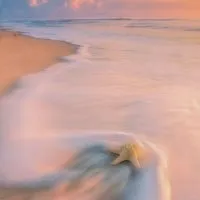 Starfish | A Fine Art Beach Photography Print