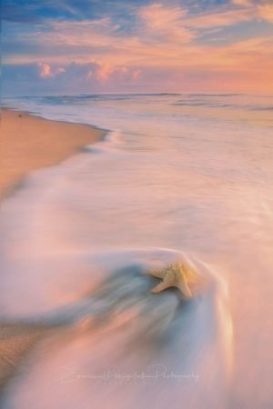 Starfish | A Fine Art Beach Photography Print