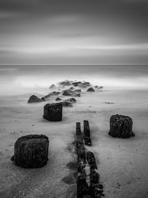 Deadwood | A Fine Art Black and White Photography Print