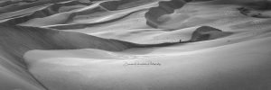 Colorado Sand Dunes | A Fine Art Black and White Photography Print