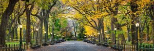 New York City Central Park Fine Art Photography Print