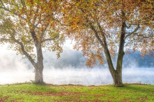 Fine Art Photography Print: Beaver County's Greens Park