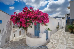 Paros Floral Greek Side Streets Fine Art Photography Print