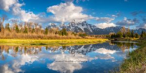 The Moose and Me - Grand Tetons | Fine Art Panoramic Photography