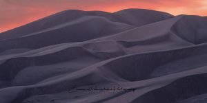 Colorado Sand Dunes Curves | A Fine Art Panoramic Photography Print