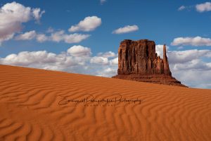 American West Mitten | A Fine Art Photography Print