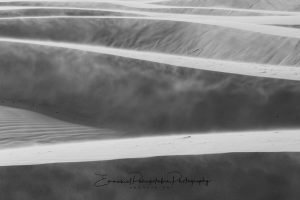 Colorado Sand Dunes Lines | A Fine Art Photography Print