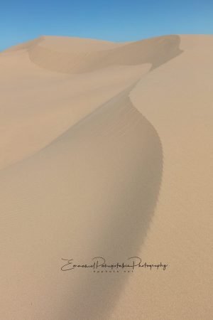 Oregon Dunes | A Fine Art Photography Print