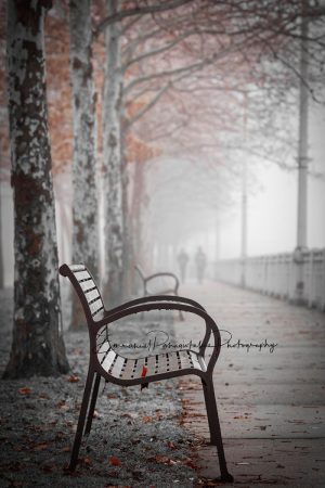 Pittsburgh Fort Duquense Bench | Splash of Color Photography Print