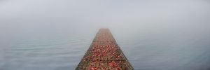 Autumn Dock | A Fine Art Water Panoramic Photography Print