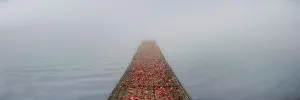 Autumn Dock | A Fine Art Water Panoramic Photography Print