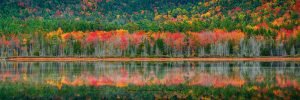 Eagle Lake Acadia National Park | A Fine Art Water Panoramic Photography Print