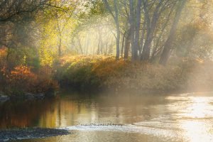 Tranquility | A Fine Art Water Photography Print