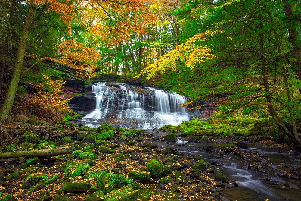 Springfield Falls, PA | A Fine Art Water Photography Print