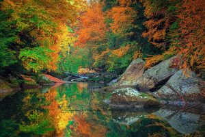 Slippery Rock Creek | A Fine Art Water Photography Print