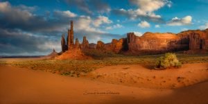 Not all is Lost | Fine Art Panoramic Photography Print