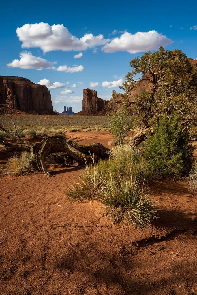Native Spirit | American West Fine Art Photography Print