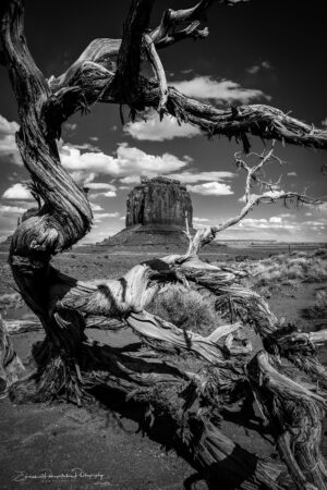 Whispering Wind | A Fine Art Black and White Photography Print