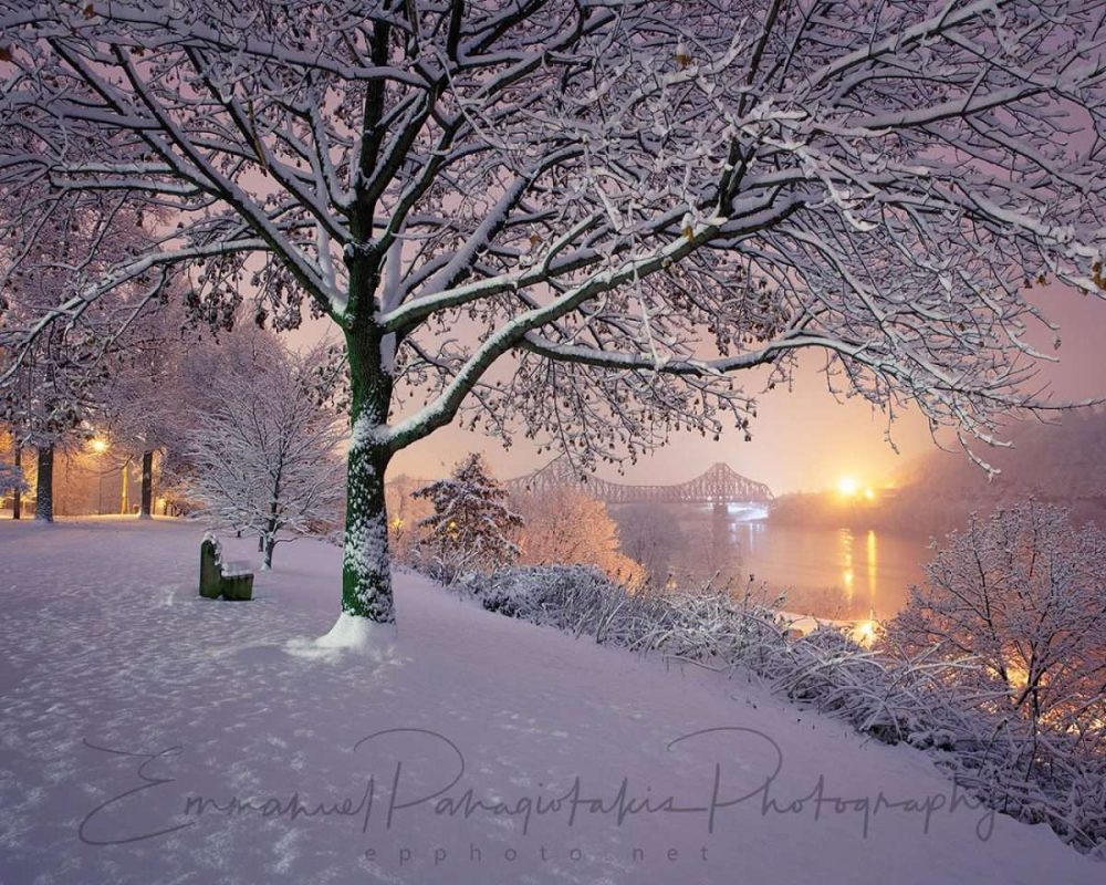 Beaver Winter Bench Photo Print - Image 2