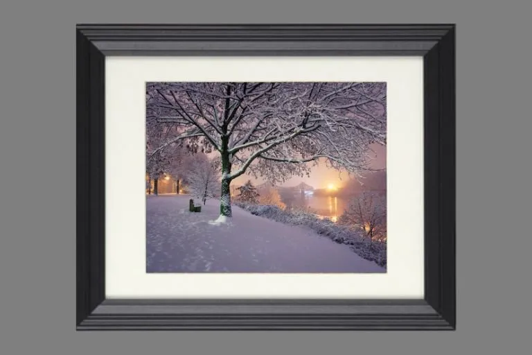 Beaver Winter Bench Photo Print - Image 2