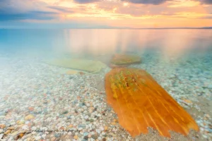 Tranquil Beach | A Fine Art Beach Photography Print