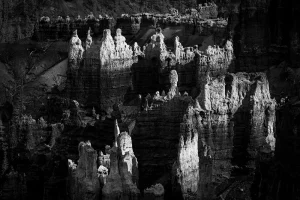 Bryce Canyon | A Fine Art Black and White Photography Print