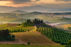 Golden Serenade | Fine Art Italian Photo Print