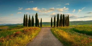 Maximus | A Tuscany Panoramic Photo Print