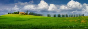 Viale di Cipressi