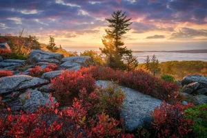 Cloud Inversion Dolly Sods