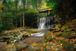 Elakala Falls Davis West Virginia