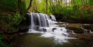 Jonathan Run Falls Panoramic