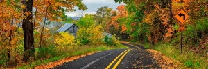 Road To The Country