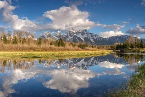 The Moose And Me Reflections