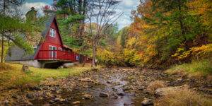 Allegheny Forest Cabin