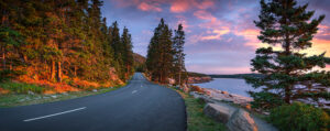 Autumn Along the Acadia Loop Road