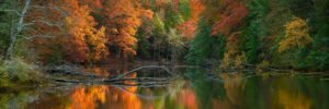 Autumn Reflections