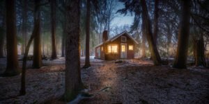 Cabin in the Forest