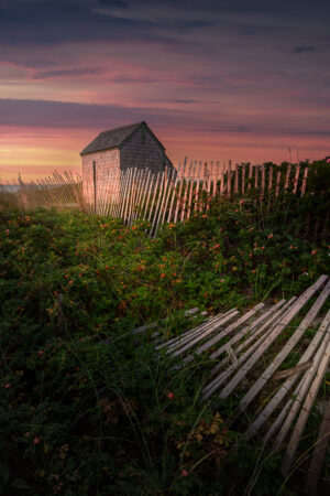 Cape Cod Sunrise Shack