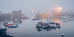 Foggy Harbor