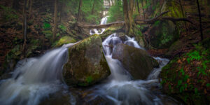 Forest Waterfall in Emerald Light