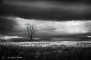 Stillness Before the Storm